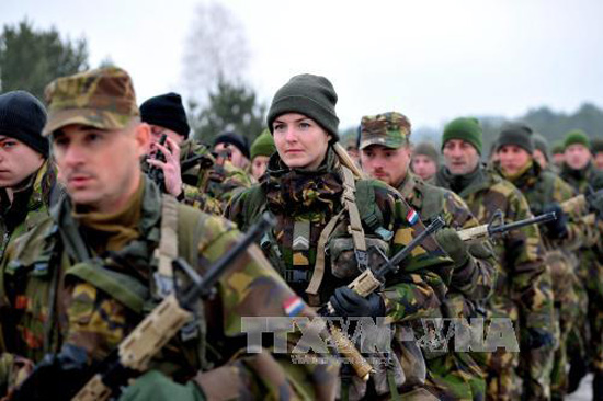 Đức triển khai quân tham gia lực lượng NATO tại Baltic ảnh 1
